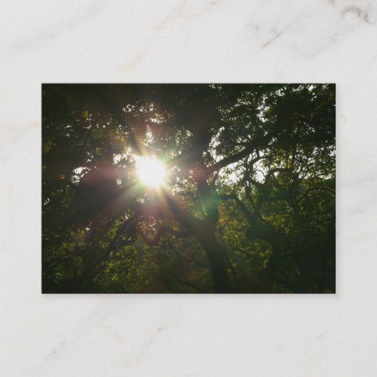 枝日本の07 名刺 (正面)