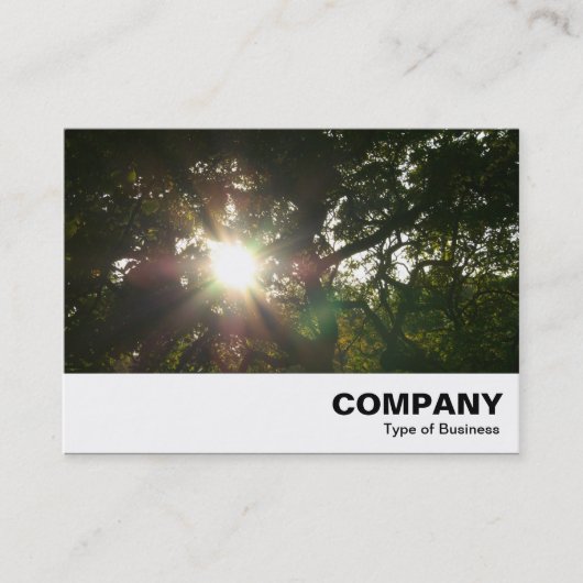 枝日本の07 名刺 (正面)