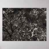 枝日本の ポスター (正面)