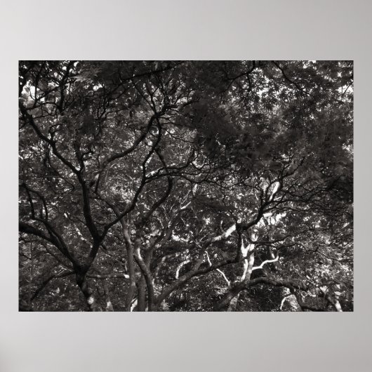 枝日本の ポスター (正面)