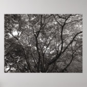 枝日本のII ポスター (正面)