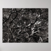 枝日本のIII ポスター (正面)