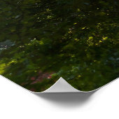 枝日本のIV ポスター (角)