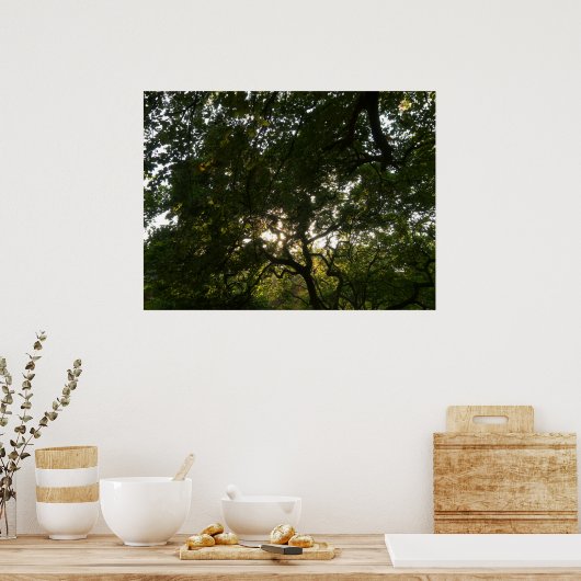 枝日本のIV ポスター (キッチン)