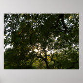 枝日本のIV ポスター (正面)