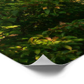 枝日本のV ポスター (角)