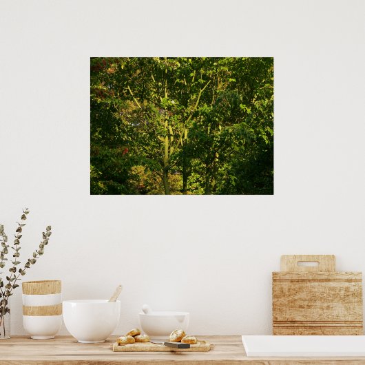 枝日本のV ポスター (キッチン)