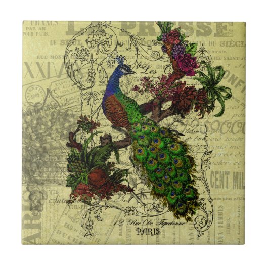 枝服装およびギフトのヴィンテージの孔雀 タイル (正面)
