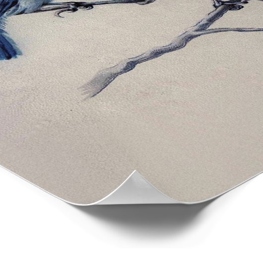 枝水色のほこりっぽい青と灰色の鳥 ポスター (角)