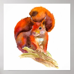 枝絵を描に赤いリスの警告素朴 ポスター