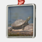 枝色彩の鮮やかにウミガメ メタルオーナメント (左)