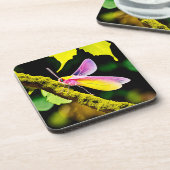 枝虫鮮やかデザイン コースター (左側)