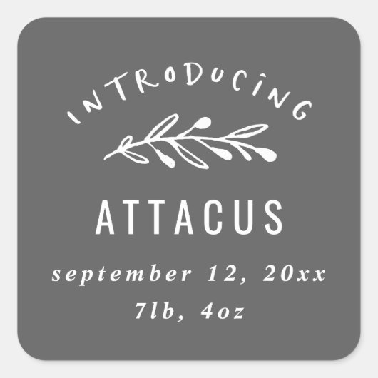 枝誕生の発表をもたらすこと スクエアシール (正面)