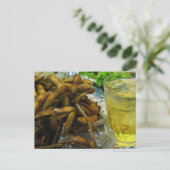 枝豆タイスタイル ポストカード (スタンド正面)