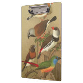 枝鳥カラフル五羽 クリップボード (左)