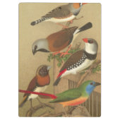 枝鳥カラフル五羽 クリップボード (裏面)