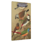 枝鳥カラフル五羽 クリップボード (右)