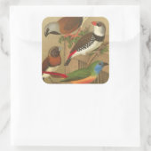 枝鳥カラフル五羽 スクエアシール (バッグ)