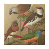 枝鳥カラフル五羽 タイル (正面)