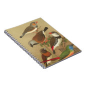 枝鳥カラフル五羽 ノートブック (右側)