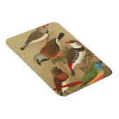 枝鳥カラフル五羽 マグネット (右側)