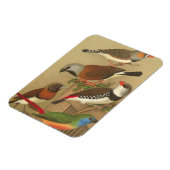 枝鳥カラフル五羽 マグネット (左側)