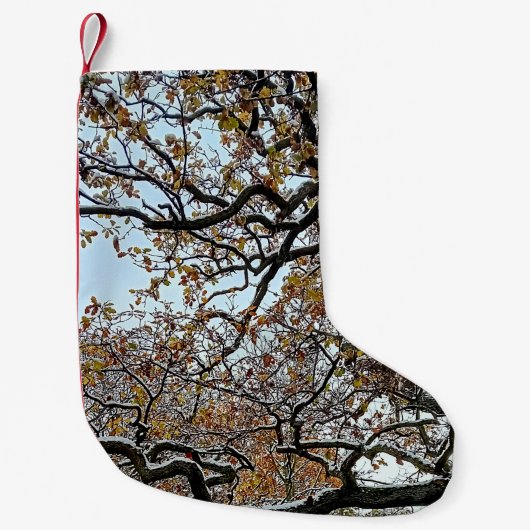 枝。オレンジ離れ色の雪 スモールクリスマスストッキング (正面)