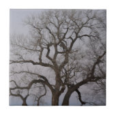 枝 タイル (正面)