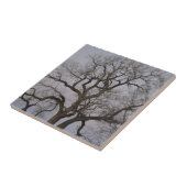 枝 タイル (側面)