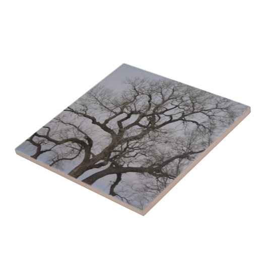 枝 タイル (側面)