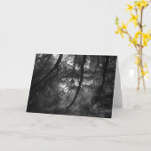 枝、太陽への、UCサンタクルス1963年 カード (黄色い花)