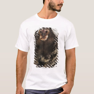 枝、終わりの白い耳付つきのMarmoset、スタジオ Tシャツ