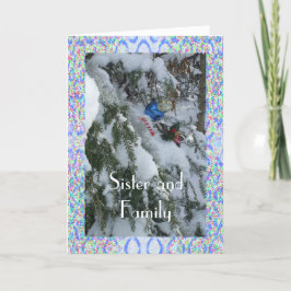 枠外の姉妹飾と家族の木 シーズンカード
