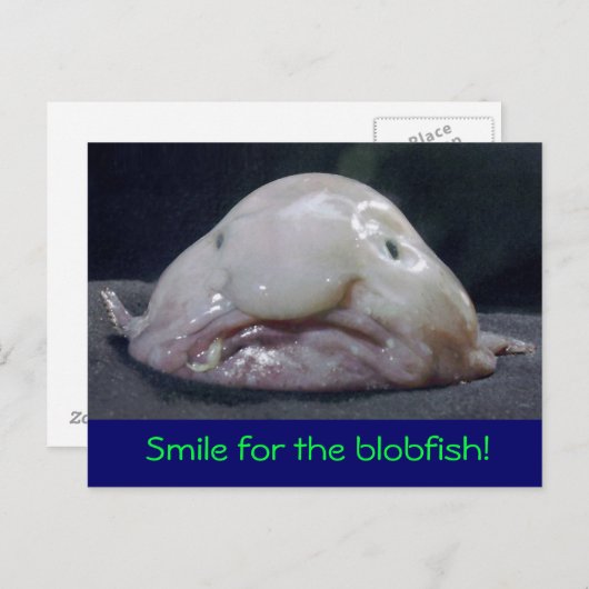 枯れた魚 ポストカード (正面/裏面)