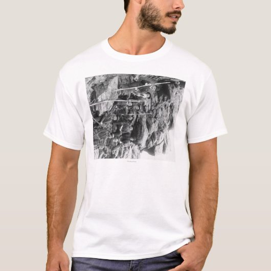 枯れ木の中央鉄道技師隊 Tシャツ (正面)