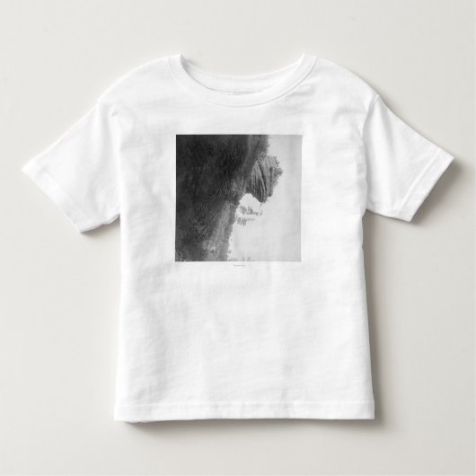 枯れ木の道の写真のカエルのヘッド石 トドラーTシャツ (正面)