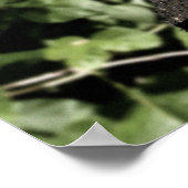 枯渇： 419日目ティーザーポスター ポスター (角)