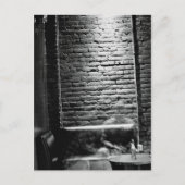 架空の友 ポストカード (正面)