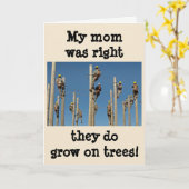 架線工夫は木で育ちます カード (黄色い花)