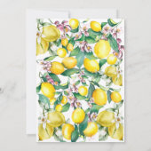 柑橘彼女が彼女のメインスクイーズブライダルシャワー 招待状 (裏面)