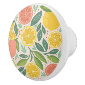 柑橘系の装飾用ノブ セラミックノブ (右)