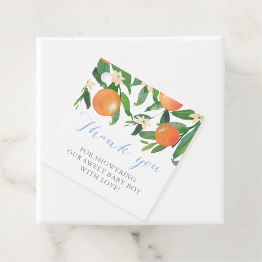 柑橘系ベビーシャワー甘い男の赤ちゃん フェイバータグ (インサイチュ)