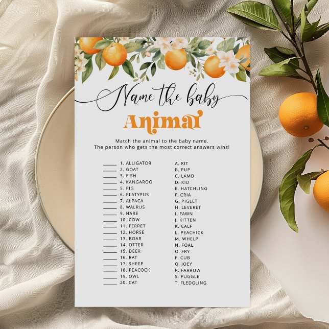柑橘類かわいこちゃん赤ちゃん赤ちゃんシャワーゲームの名前 (クリエイターアップロード済み)