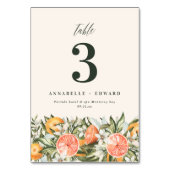 柑橘類のオレンジモダンの植物性の素朴なテーブル番号 テーブルナンバー (正面)