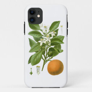 柑橘類のオレンジ植物のいいえ2つの家の装飾 iPhone 11 ケース