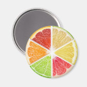 柑橘類のスライス マグネット (正面/裏面)