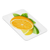 柑橘類の果実切り マグネット (右側)