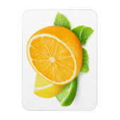 柑橘類の果実切り マグネット (縦)