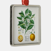 柑橘類の植物のイラストレーションno.1のギフト メタルオーナメント (右)