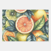 柑橘類の水色オレンジフルーツ植物夏 ラッピングペーパーシート (正面)